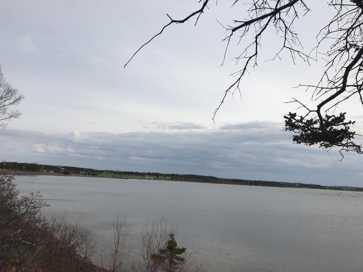 By The Bay Cottages Stanhope Екстер'єр фото